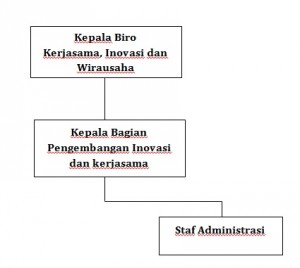 Struktur BPIK